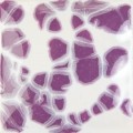 CR881 Purple Blaze